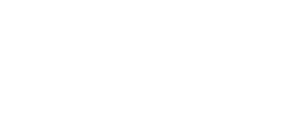 Flex Logo