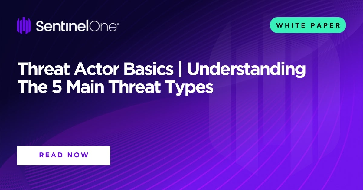 Threat Actor Basics | Understanding The 5 Main Threat Types - SentinelOne