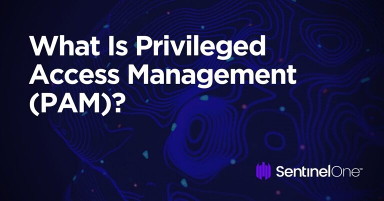 What Is Privileged Access Management (PAM)? - SentinelOne