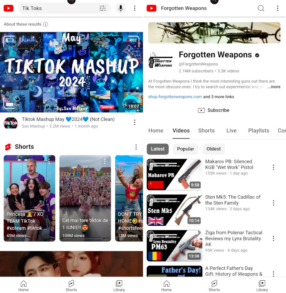 TikTok and Weapons-themed CapraRAT YouTube WebView