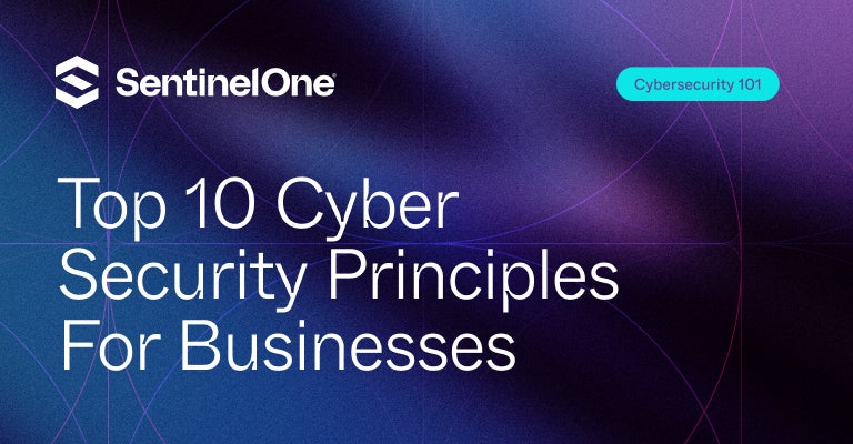 Cyber Security Principles - Featured Image | SentinelOne