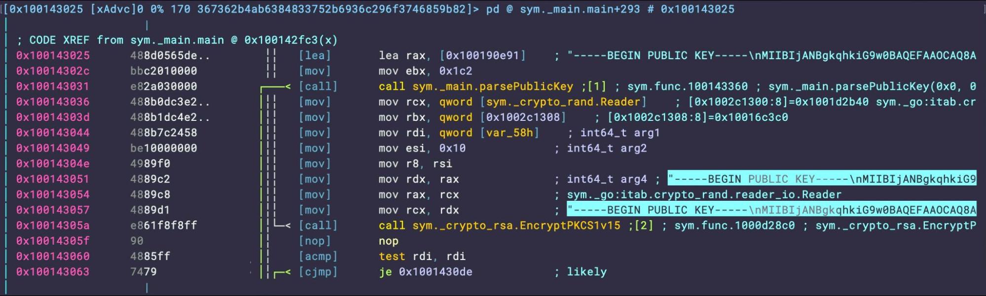 NotLockBit embedded public key