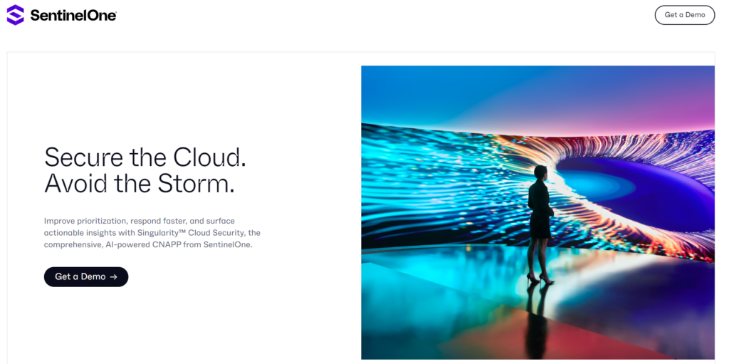 Cloud Security Providers - SentinelOne Cloud Security Providers | SentinelOne