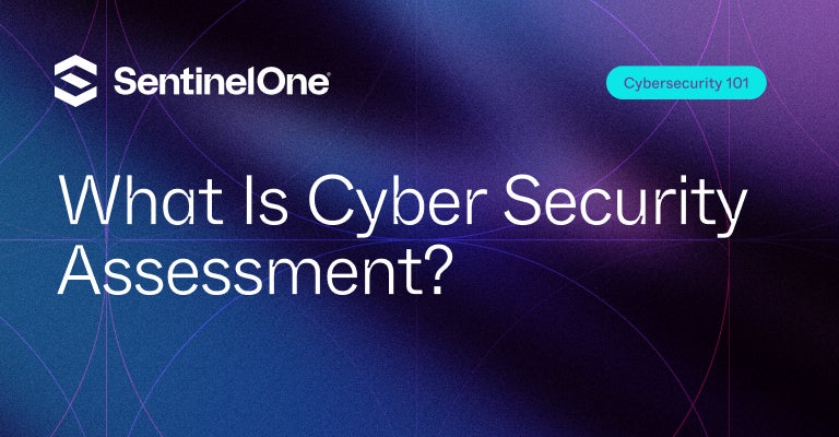 Cyber Security Assessment - Featured Image | SentinelOne