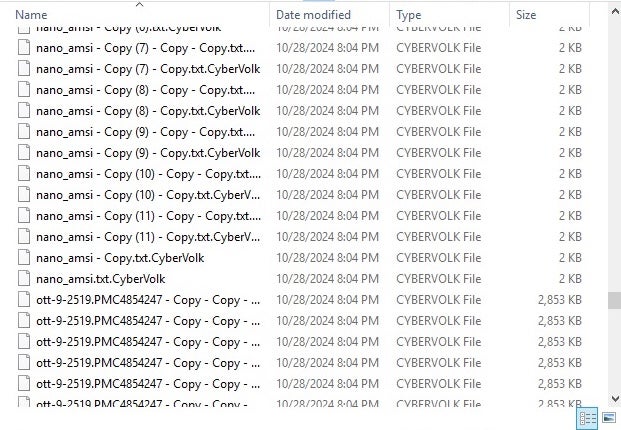 CyberVolk-encrypted files