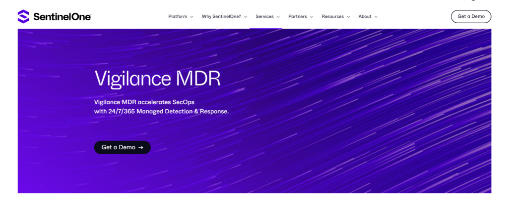 MDR Providers - Vigilance MDR | SentinelOne