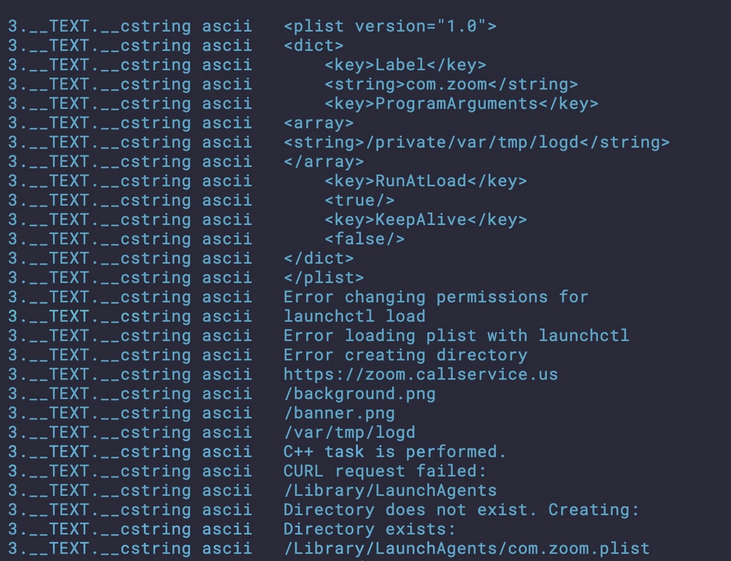 Strings in the zoom binary for setting up persistence